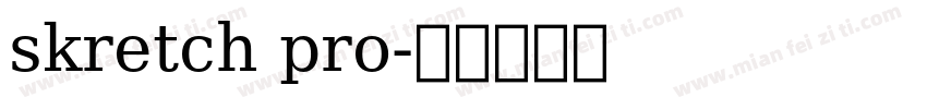 skretch pro字体转换